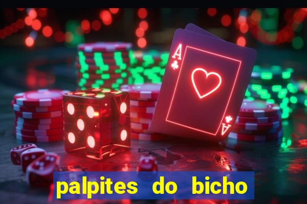 palpites do bicho no celular