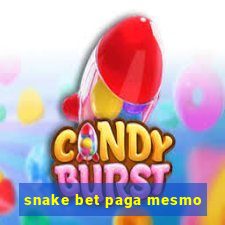 snake bet paga mesmo