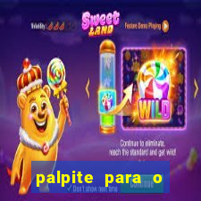 palpite para o jogo do bicho da paraíba