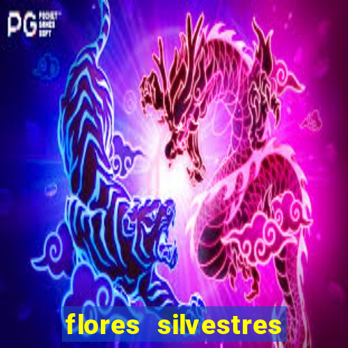 flores silvestres desbravadores desbravadores 25