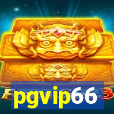 pgvip66