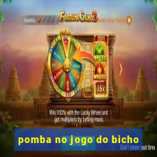 pomba no jogo do bicho