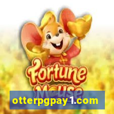 otterpgpay1.com